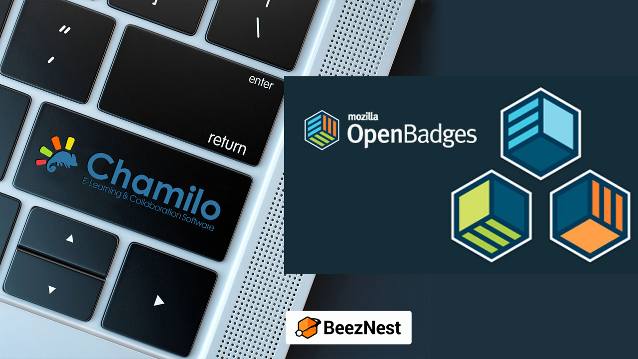 chamilo-lms-and-digital-competency-badges chamilo-lms-and-digital-competency-badges